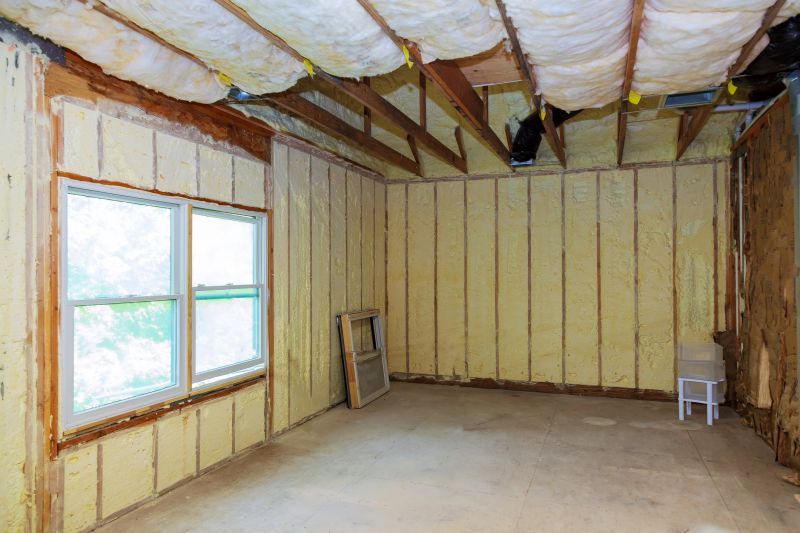 Interior Wall Insulation